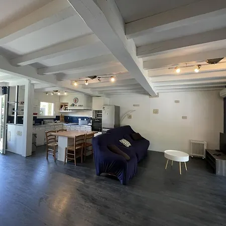 Spacieuse Avec Piscine Pour 8 Pers à - Fr-1-379-133 Villa